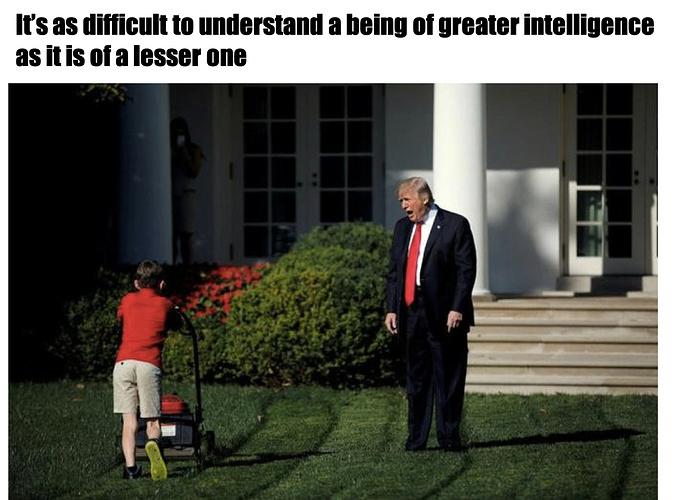 Greater intelligence