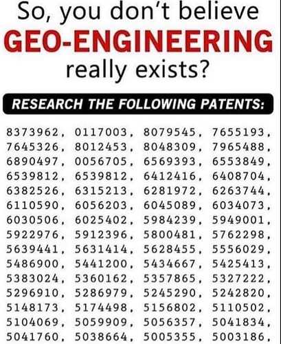 456250337_122199099992064843_6595316088402072865_n