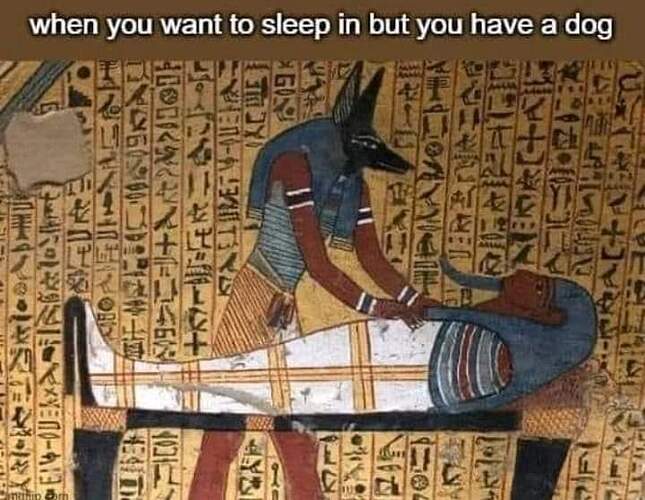 20211210_133039