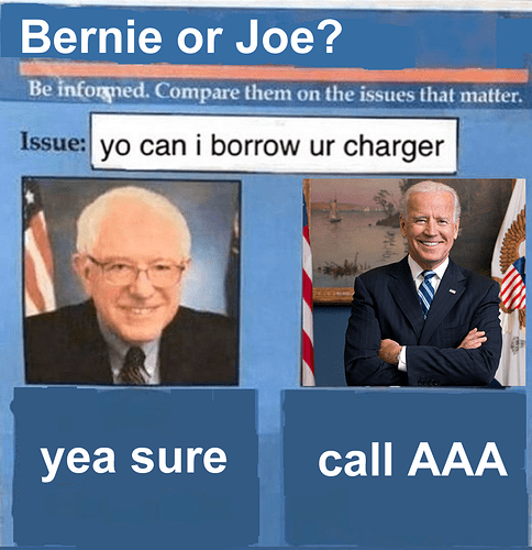 bernie meme