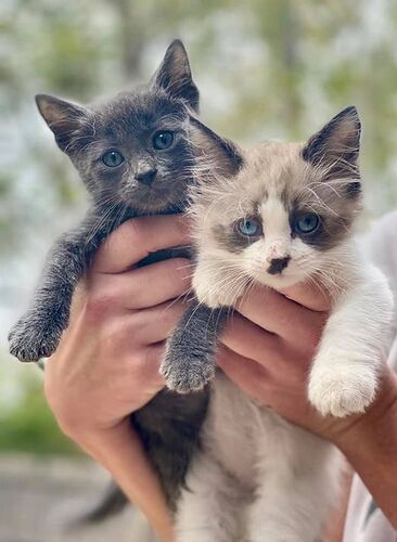 bubs n buddy2