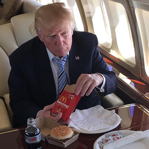 d56352313014f48708ee163864b6819e1c-04-trump-mcdonalds.rsquare.w1200