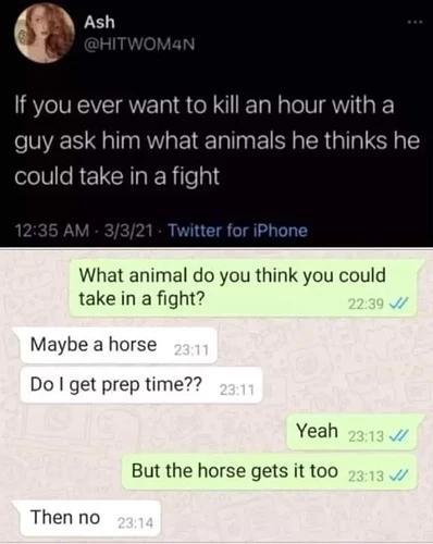 Animalsinafight