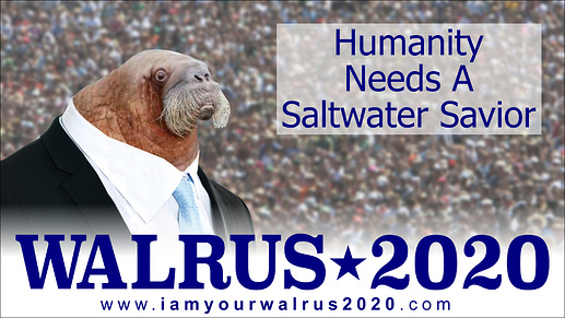 walrus2020