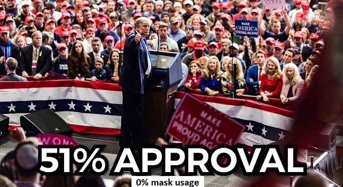 approval-mask