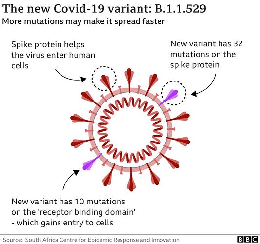 _121831038_corona_variant_b11529_v2_2x640-nc-004