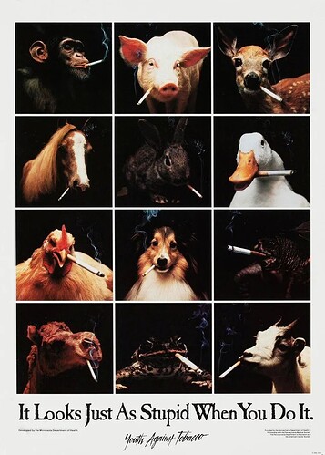 1759701425309723372305108170960