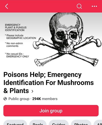 Screenshot_20250519_070556_Facebook