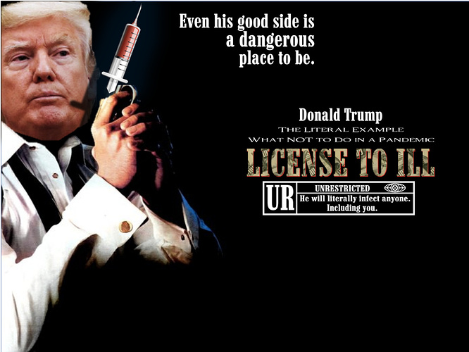 License to Ill