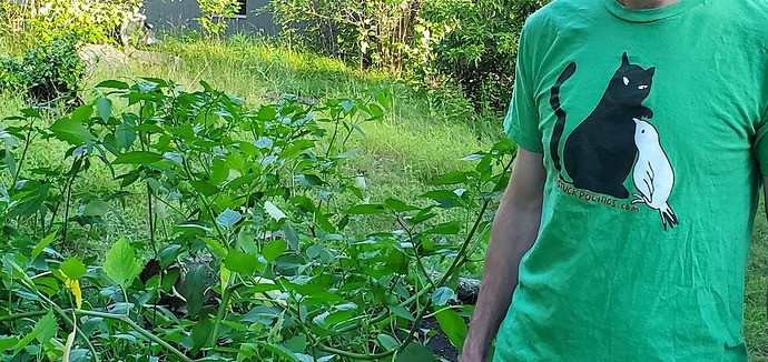 20200728_184029(2)