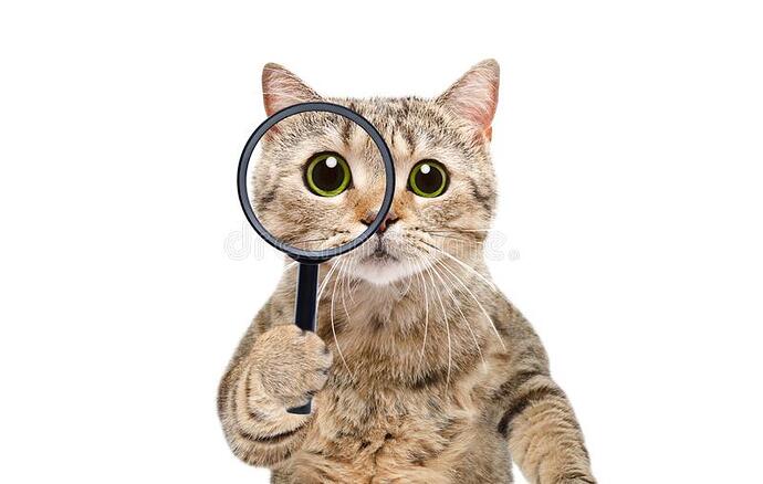 portrait-funny-curious-cat-scottish-straight-looking-magnifying-glass-isolated-white-background-246575492