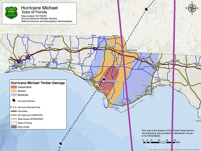 florida_timber_damage