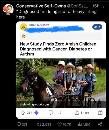 amish