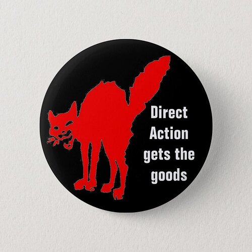 direct action gets the goods pinback button | Zazzle.com