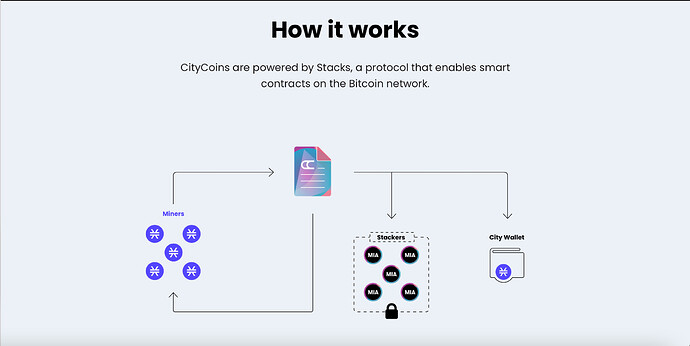 miami-coin-city-coins