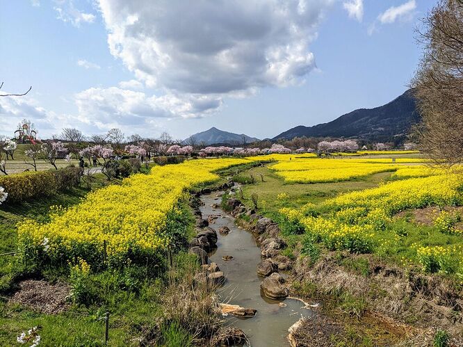 spring japan