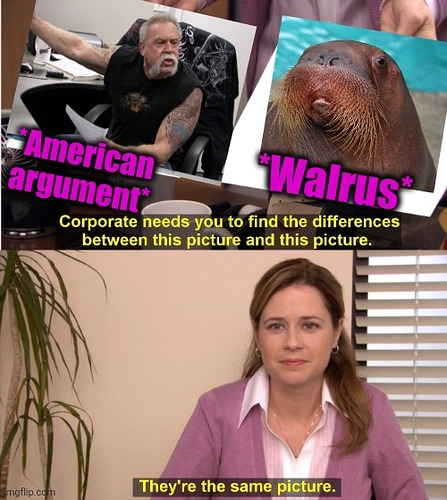 (Pic) (Walrus) They're The Same Picture