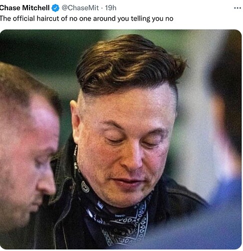 ElonHair