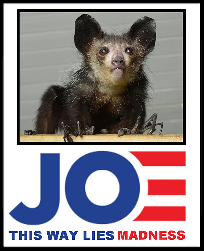 joe