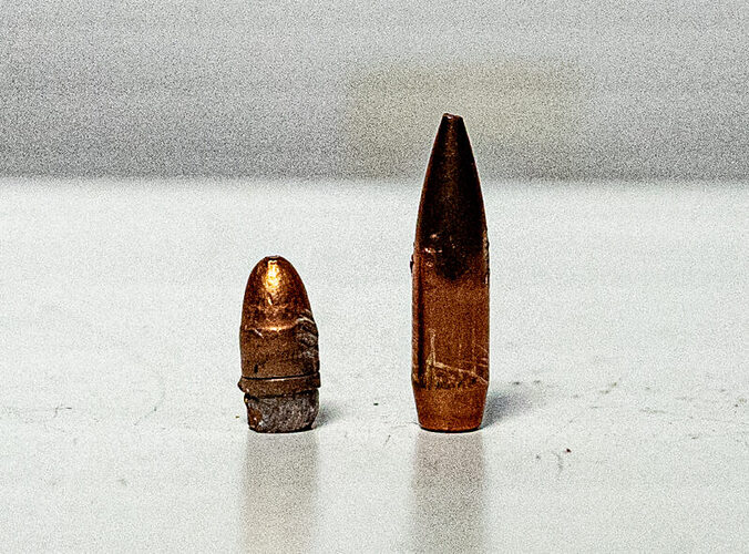 22lr-bullet-vs-223-bullet-800x591