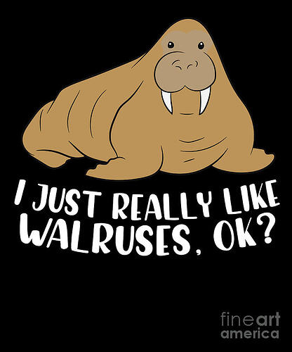 I Just Really Like  Walruses, Ok