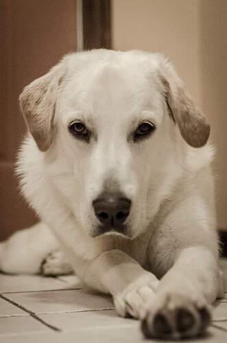 FB_IMG_1597843798795