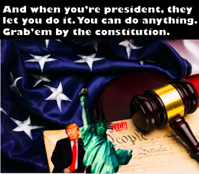 Grab'em by the Constitution 1