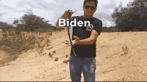 Biden v Trump