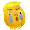 :trump_cries: :trump_cries: