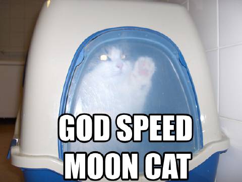 godspeedmooncat