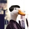 duck_lol_iw4req