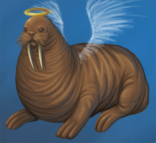 (Pic) (Walrus) Walrus Angel with Halo