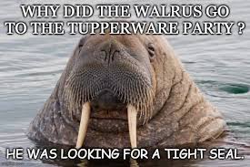 Walrus Tupperware Party