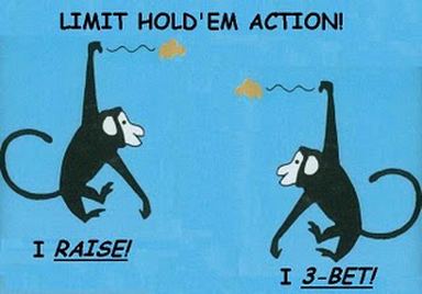 limit monkeys