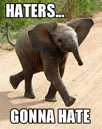 haters_gonna_hate_elephant-14272