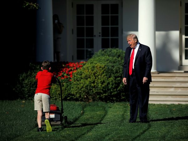 trump-lawn