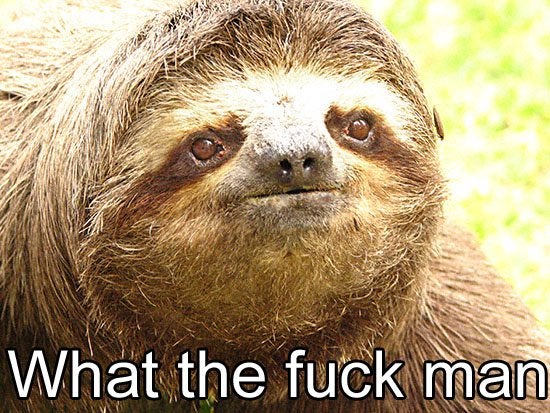 WQgjvhKsgdrWaQwC48KZdwTn6tMt-SPM2Oj_AE8Ql8A