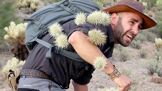 coyote-peterson-brave-wilderness-cholla-cactus-video-936955307