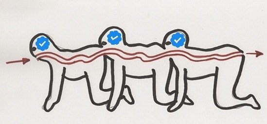 twitter centipede